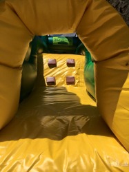 T Rex Obstacle
